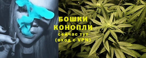 ALPHA-PVP Медвежьегорск