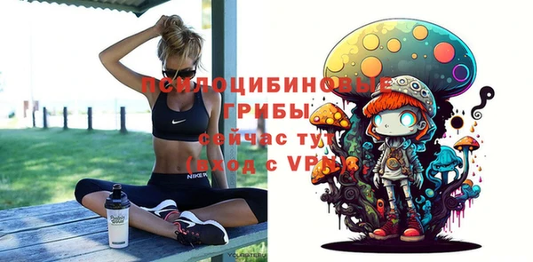 твердый Мегион