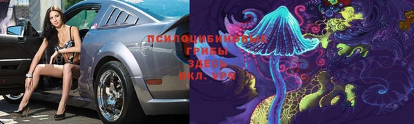 mdpv Медногорск