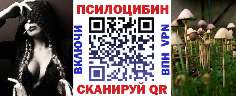Псилоцибиновые грибы Psilocybine cubensis  OMG   Новосибирск  площадка как зайти  цены наркотик 