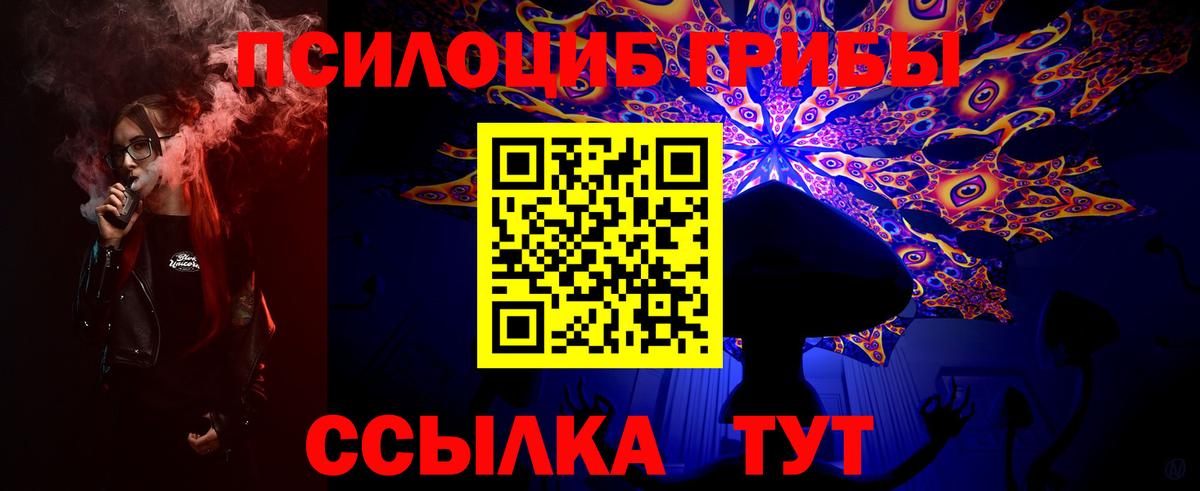 Псилоцибиновые грибы мухоморы Новосибирск