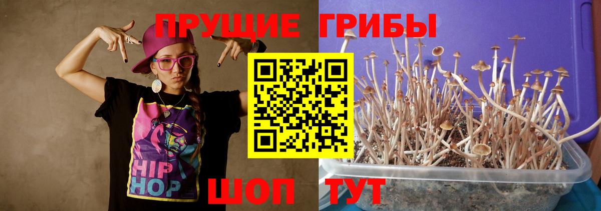 Галлюциногенные грибы прущие грибы  Новосибирск 