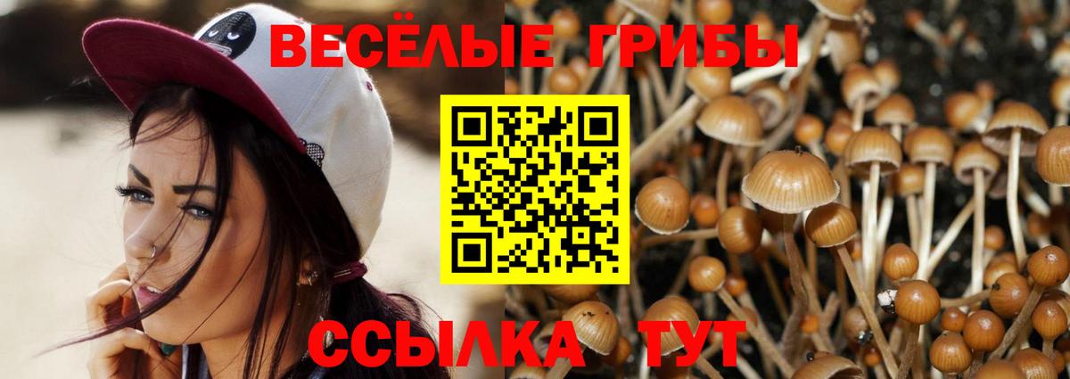 Новосибирск  Галлюциногенные грибы мицелий  Вход с VPN 